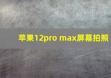 苹果12pro max屏幕拍照